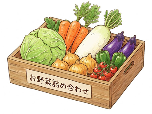 野菜を食べよう！　徳島県産季節の野菜セット